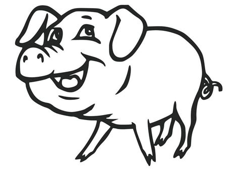 pig coloring page   pig coloring page png images