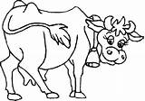 Colorat Vaca Copii Planse Fise Animale sketch template
