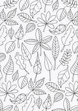 Embroidery Paper Pages Coloring Bladeren Adult sketch template