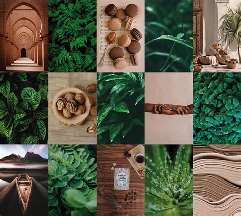 green brown aesthetic wall collage kit neutral earthy shades photo wall kit   brown
