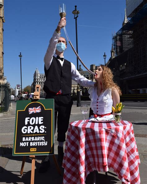 woman force fed  tube  peta foie gras protest