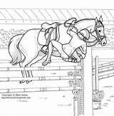 Jumping Equestrian Showjumping Getcolorings Realistic Dressage sketch template