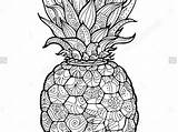 Facile Ananas Coloriage Zentangle Pineapple Por Coloring Pdf Etsy Danieguto Size Handphone sketch template