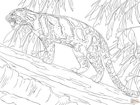 clouded leopard standing  tree coloring pages animal coloring