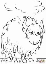 Yak Coloring Cartoon Pages Drawing Printable Pluspng Animals Mammals Template Getdrawings Preschool Categories Supercoloring sketch template