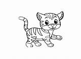 Katzen Katze Ausmalbild Freude sketch template
