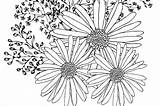 Coloring Pages Flowers Printable Spring Fun Summer 30seconds Mom Print sketch template