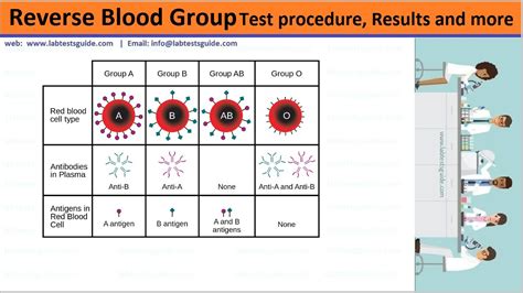 reverse blood grouping serum grouping procedure lab tests guide