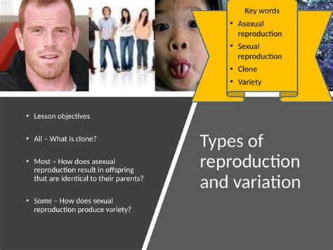 Sexual Versus Asexual Reproduction Cloning [aqa New Spec] Teaching