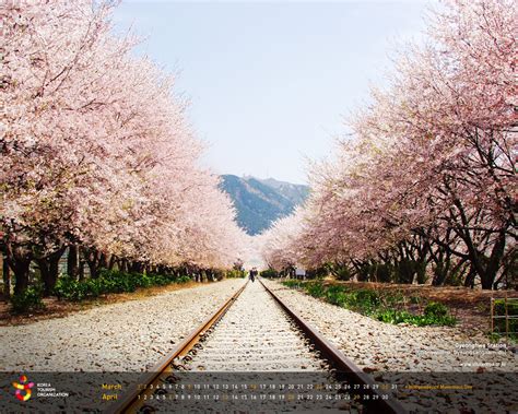 korean desktop wallpaper wallpapersafari