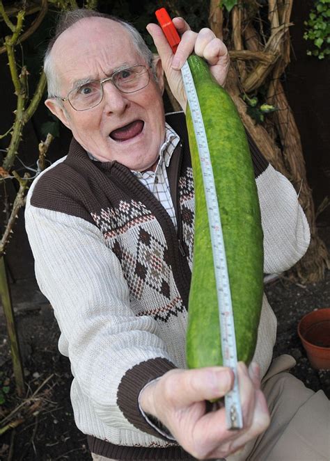 grandfather s shock after growing 21 inch cucumber daily mail online