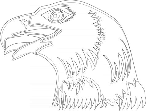 eagle head outline perfect  coloring page  vector art  vecteezy