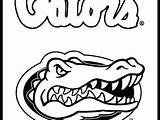 Gator Gators Florida Drawing Coloring Pages Paintingvalley Clipartmag sketch template