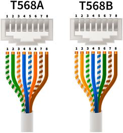 cat  patch cable wiring diagram