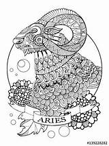 Aries Zodiac sketch template