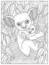 Coloring Pages Family Koala Baby Thaneeya Animal Choose Board sketch template