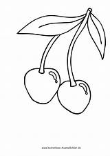 Kirschen Fruechte Früchte Lebensmittel sketch template