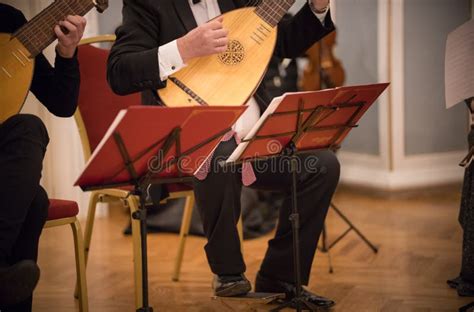 man playing stringed folk instrument   concert stock image