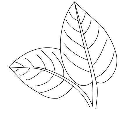 related image leaf coloring page spring coloring pages flower