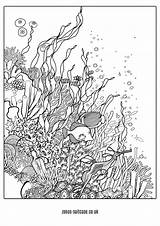 Ocean Colouring Pages Sea Under Coloring Coral Reef Printable Drawing Book Zentangle Reefs Choose Board sketch template
