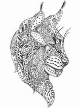 Lynx Zentangle Bobcat Coloring4free Pngegg Teens sketch template