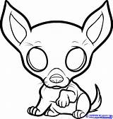 Chihuahua Kleurplaten Mascotas Hund Muster Schattige Tiere Malvorlagen Honden Clipartmag Chiguagua Uitprinten Kleurplaat Downloaden sketch template