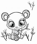 Coloring Pages Animal Zoo Cute Clipartmag sketch template