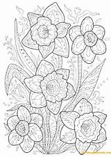 Colouring Pages Daffodil Doodle Coloring Spring Hard Kids Older Color Flower Daffodils Mindfulness Adults Sheets Activity Mandala Book Pattern Colorings sketch template