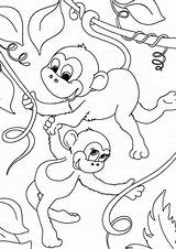 Monkey Coloring Pages Colouring Pop Card Print Cute Monkeys Template Year Chinese Printable Templates Kids Simple Swing Tulamama Cards Printables sketch template