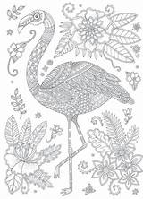 Flamingo Coloring Mandala Pages Card Flamingos Coloriage Bird Adult Rose Visit Choose Board Color sketch template