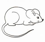 Mouse Coloring Pages Color Clipart Colouring Mice Cute House Printable Paint Kids Drawing Supercoloring Crafts Template Google Common Rat Clipground sketch template