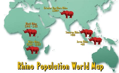 rhino population world map  overwhelming rhino conservation