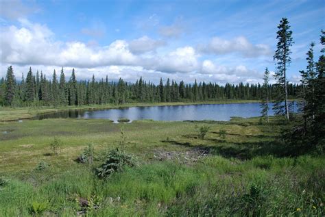 alaska willow alaska natural landmarks wilderness