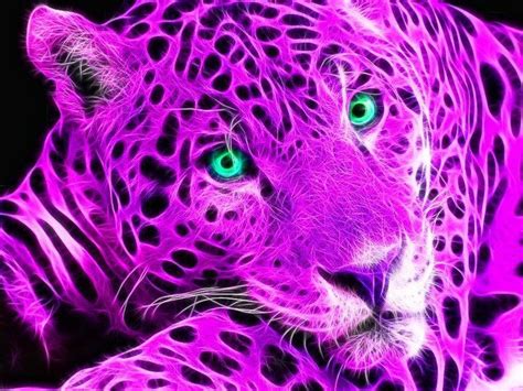 17 Best Images About Fractal Cats On Pinterest Cats Kittens And Sisters