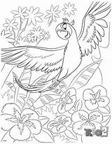Coloriage Perle Sheets Rio2 Blu Aras Colorier Mommysbusy Parrot sketch template