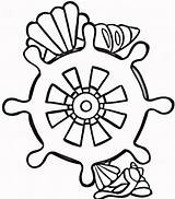 Conchas Pirate Timones Kolorowanki Seashell Muszelki Ster Malvorlagen Kolorowanka Concha Druku Figuras sketch template