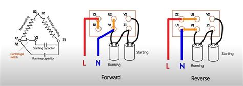 wire  single phase motor  start  run capacitors webmotororg