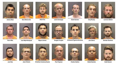 sarasota co sheriff announces arrest of 21 men accused of