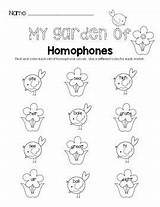 Homophones Teacherspayteachers Worksheet Garden sketch template