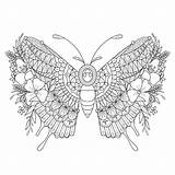 Schmetterling Linearen Stil Zentangle Vektoren sketch template