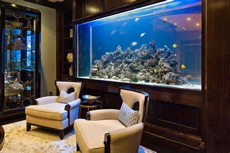custom aquariums cabinetry filtration systems  steel stands