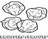 Sprouts Brussel Printable Template sketch template