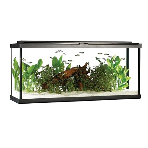 aquarium fish tank png transparent images png