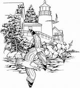 Coloring Pages Adult Adults Printable Lighthouse Landscape Seagulls Books Colouring Color Nature Landscapes Naked Detailed Print Sheets Coupons Work Beach sketch template