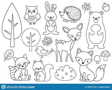 vector  set  woodland animals outline  coloring stock vector