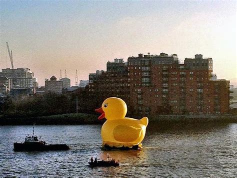 a gigantic rubber duck sailed through london s financial