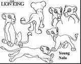 Pages Lion Coloring King Nala Scar Simba Getcolorings Pride Rock Getdrawings Colorings sketch template