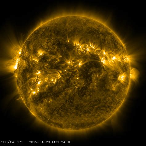 sdo shows active regions  front  sun nasa