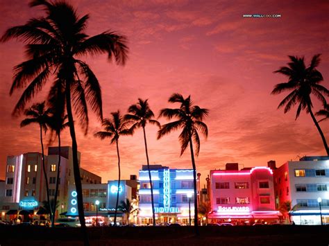 south beach  tropical location close  home mother trip nature pictures travel