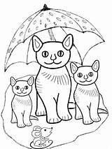 Coloring Pages Cat Kitty Adult Children sketch template